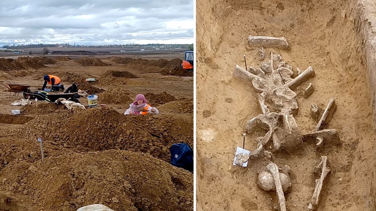 Archeologové odkryli v místě budoucí dálnice poblíž Olomouce pohřebiště z doby bronzové